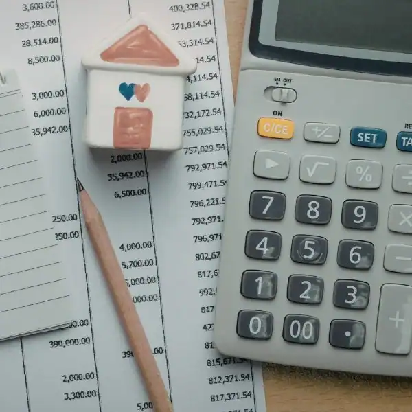 Image of accounts in regards to financial mediation Sale